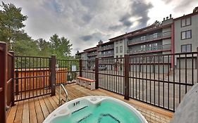 Timber Run Evergreen 9